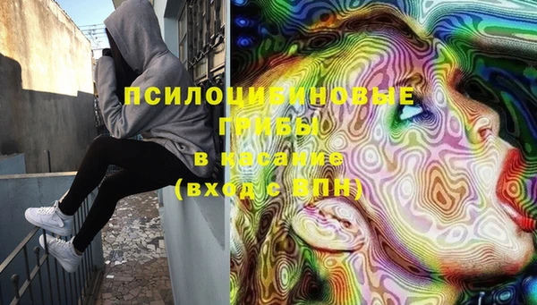 мескалин Михайлов