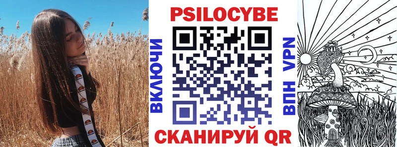 ссылка на мегу как войти  Курск  Псилоцибиновые грибы Psilocybe 