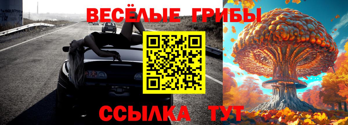Галлюциногенные грибы GOLDEN TEACHER Курск